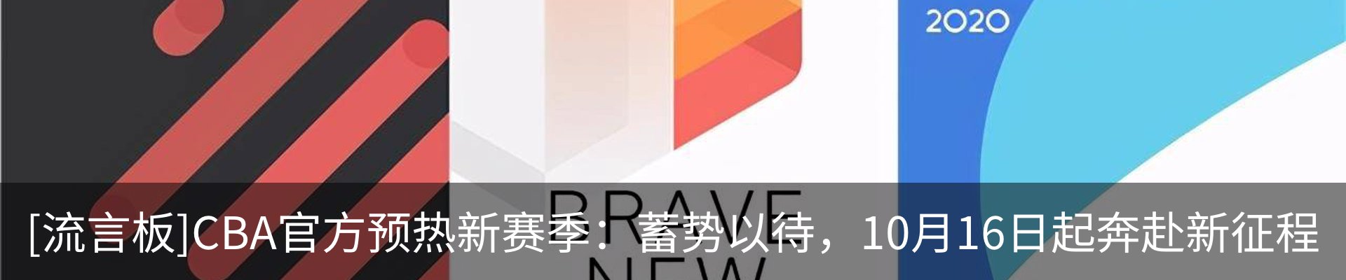 新闻动态